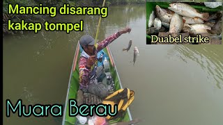 mancing dikayu tumbang kakap tompel/jenaha muara Berau