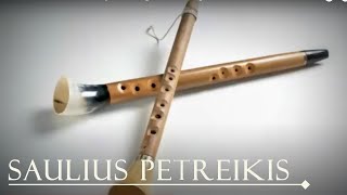 Lithuanian folk instrument Birbyne, Baltic Vikings, Calm Music, Folk Music, Saulius Petreikis