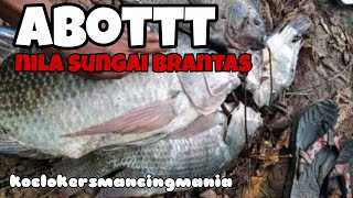 panggah klitikan ||nila sungai brantas