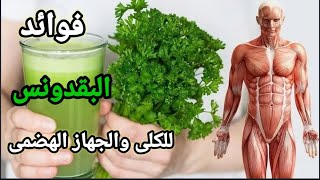 فوائد مغلي البقدونس للكلي _ والجهاز الهضمي .