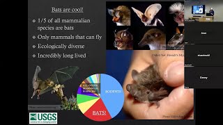 ONP Perspectives: Bat Research on the Olympic Peninsula