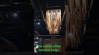 Bamboo twigs bwauty