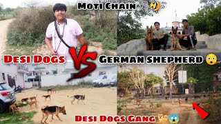 Desi Dogs VS German Shepherd Dogs 😱