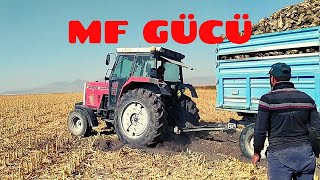 MF GÜCÜ Mf 3085 D