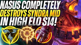 Rank 1 Nasus completely destroys Syndra midlane S14 high elo! | Carnarius | League of Legends