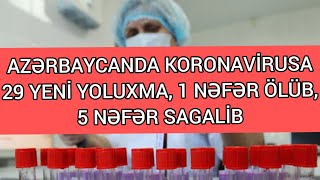 Azərbaycanda koronavirusdan daha bir nəfər öldü, 29 yeni yoluxma, 5 nəfər sağaldı