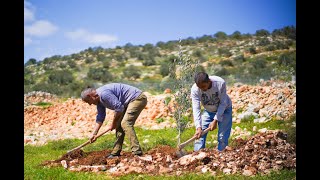 Trees For Palestine