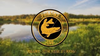 Канал "Рыбалка live" (трейлер)