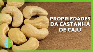 7 BENEFÍCIOS das CASTANHAS de CAJU 🥜💚 (Propriedades Medicinais, Como Consumi-las e Contraindicações)