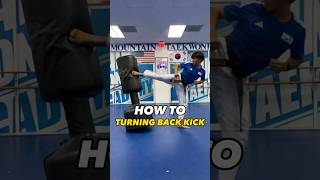 Turning Back Kick #martialarts #taekwondo #karate #mma #ufc #combatsports #shorts #tutorial #태권도