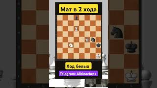 Telegram: Albinachess #chess #шахматы #chorts