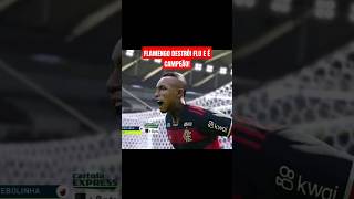 Flamengo massacra Fluminense e é campeão carioca!