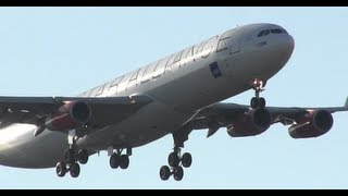 RARE | SAS (Star Alliance) A340-300 Landing at Chicago O'Hare