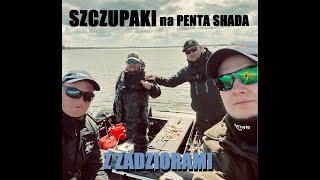 Szczupakowanie z Zadziorami! Penta shad w akcji