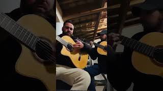 NO VOLVERE - AMOR MIO - COVER GIPSY KINGS @romaricgipsy