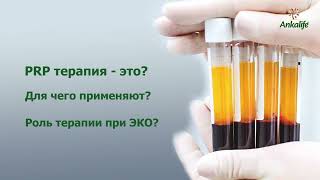 Что такое PRP терапия? Роль терапии  при ЭКО?