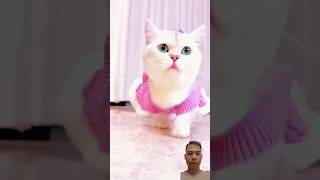 Cutecat kucing lucu #@nhopen