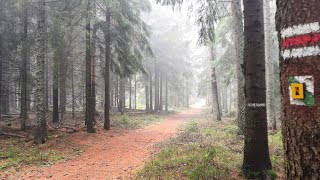 Medvedie stopy v Kremnickych vrchoch ❤️