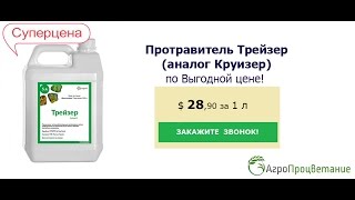 Купить Протравитель Трейзер Оптом. Аналог Круизер