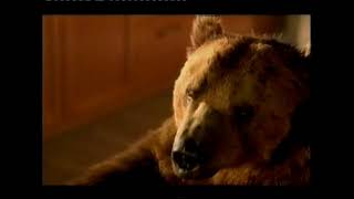 Kelloggs Corn Flakes 'Bear' Advert On ITV1 March 2002 HTV UK TV