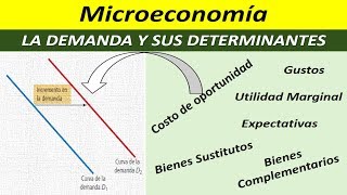 LA DEMANDA Y SUS DETERMINANTES