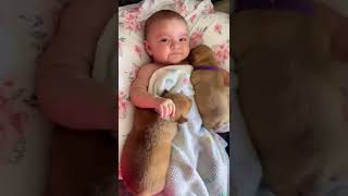 cute baby with dog #doglovers #puppy