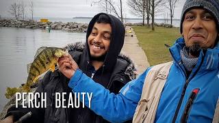 Perch Fishing at Talbot River Swing Bridge - 2019 🎣 🐟