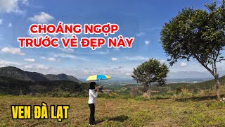 Đất ven Đà Lạt| Đứng hình khi đứng trước một mảnh đất đẹp! 5971m2! Đẹp không nói lên lời!