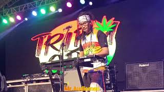 Pudingding - Tribu Cdo Reggae Cover l Banog Banog Festival 2023