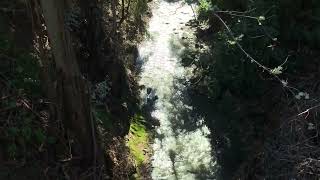 Stevens Creek Flowing