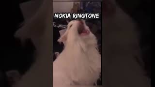 Nokia Ringtone - Sound Effect 🔊