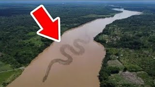 Porqué El Río Del Amazonas NO Tiene Ningún Puente