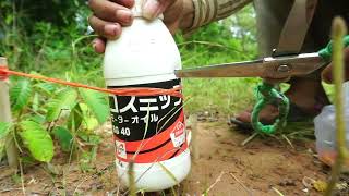 Amazing Unique Quail Bird Trap Using Bottle & Wood