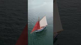 Falmouth Classics. More stunning yachts; so great to see - even better to sail! #shorts