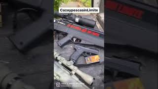 Armas de caza y defensa