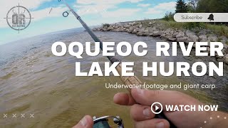 Exploring Where Oqueoc River Meets Lake Huron