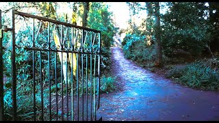 Nana's Park | Lowkey Glasgow Gem