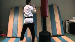 jumping turning kick   Green belt kicks and punches