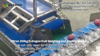 300kg/h dragon fruit Weighing and grading machine | root vegetable and fruit sorting machine price