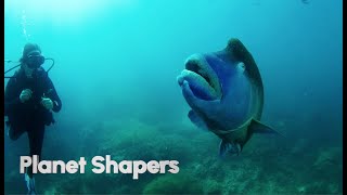 Planet Shapers- Working together to care for the Great Barrier Reef