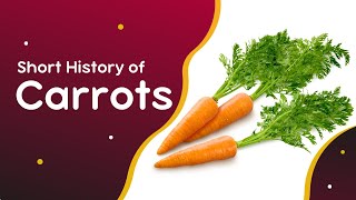 Short History of Carrots