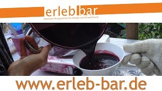 Kleines ABC der Erntehilfen – Holunderbeeren ernten, entsaften und entgiften