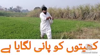 کھیتوں کو پانی لگایا ہے ❤️ new short vlog #new #vlog #foryou