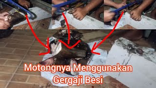 Memotong Kaki Sapi & Kaki Kambing Dengan Menggunakan Gergaji Besi Part 2.Selesai