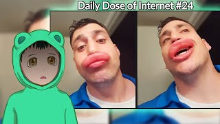 Reacting to Daily Dose of Internet #24! (He Tried to Kiss a Bee)