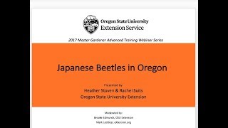 Japanese Beetles in Oregon, 2017