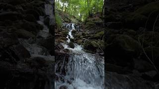 tabiatın kalbi yedigöllerde muazzam bir şelale #waterfall #doğa #şelale 🏞🌿😇