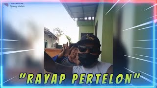 RAYAP PERTELON IN ACTION