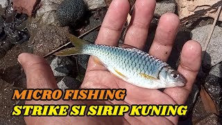 MICRO FISHING - MANCING WADER KEPEK DI BAWAH JEMBATAN DENGAN UMPAN LUMUT #microfishing