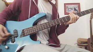 Times Like These - Foo Fighters (Raw Bass Cover)